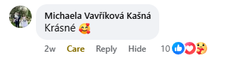 Recenzia de pe Facebook nr. 3